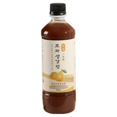 홍삼이생강날때 토굴 모과생강청 600g, 1개입, 1개