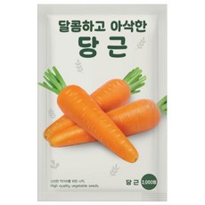 NH농우바이오 달콤하고 아삭한 당근 씨앗 종자 2000립, 1개
