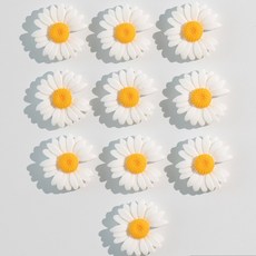 84x84 인테리어 냉장고 자석 마그네틱, 피마데이지10p