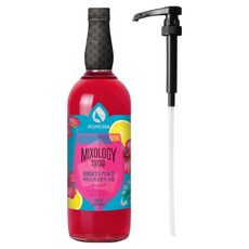 포모나 믹솔로지 히비스커스펀치 시럽 1L + 전용 시럽펌프 세트, 1세트