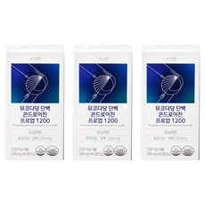 소연골 소유래 콘드로이친 1200 콘도로이친 콘드레이친 관절 건강 영양제, 1박스, 60정