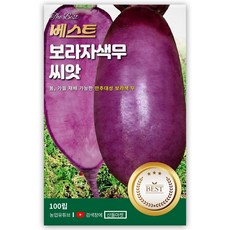 베스트 보라자색 무 씨앗 100립 봄 가을 재배 가능 자색 무씨 종자, 1개