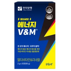 한미양행 에너지 V&M 아르기닌 타우린 파워 기능성 에너지 부스터 30p, 60g, 2개