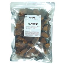 백장생 러시아 시베리아 차가버섯 원물, 1kg, 1개