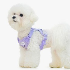 왈츠 강아지하네스 목줄 하네스 앞섬방지 슬개골 H형 가슴줄 소형견, 바이올렛, 1개