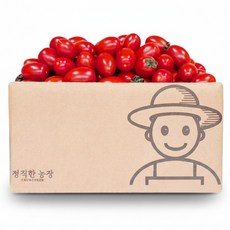 [산지직송] 대추방울토마토 2kg, 1박스, (대과/1-2번) 2kg