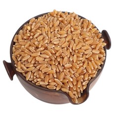 호라산밀(카무트) 고대곡물, 1개, 1kg