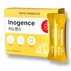 (Best상품) 이노젠스 강아지 고양이 햄스터 유산균 영양제, 10개, 프로바이오틱스, 2g
