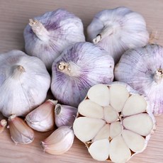 서산 통마늘 햇마늘 국산마늘 중 반접 50개 산지직송 밭마늘 생식 통마늘, 40g