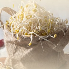 업소용콩나물한박스 일자콩나물무농약 국산콩나물1kg, 1박스, 1kg