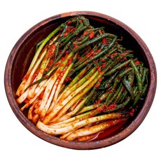 [맛보장] 삼형제 쪽파 파김치, 1개, 2kg