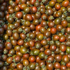 [당일수확] 부산대저 흑대추방울토마토, 1개, 2kg