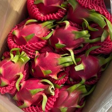 슬로우픽커 최상급 베트남 생 용과 프리미엄, 2.5kg(5개)