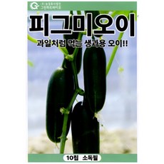 그린하트바이오 피그미오이 10립 생과용 과일처럼 먹는 오 채소 씨앗 종자 그린하트바이오, 1개