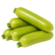 하루농가 새벽경매 당일발송 국내산 애호박, 1개, 5개