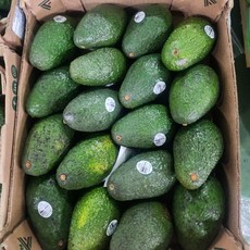 최상급 아보카도 중과 대과 항공직송, 1개, 중과 (180g내외) 10개입