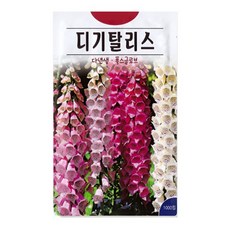 KS종묘 디기탈리스 1000립 폭스글로브 다년생 꽃씨 씨앗 종자, 1개