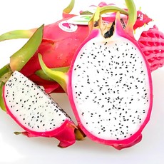 팜플러스 생 용과, 2.5kg내외(6개입), 1개