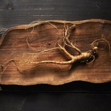 [임금님산삼] 강원도 산삼 5~6년 못난이삼 진짜 산양삼 10/20/30뿌리 장뇌삼 고산지대 1200고지, 5g, 10개