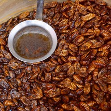 냉동 고단백 프리미엄 번데기 다이어트 추억의음식 길거리간식, 1kg, 2개