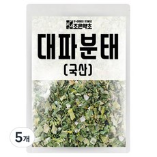조은약초 대파 분태, 5개, 200g