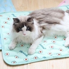 카르노 반려동물 프루츠 소파매트, 그린, 1개