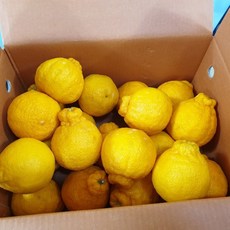 돌하루방농원 한라봉가정용3kg, 1박스, 3kg