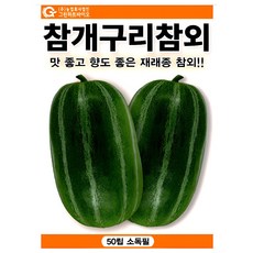 참개구리참외 씨앗 재래종 참외 종자 달콤한 텃밭 과일 재배 50립 그린하트