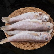 제주맛수다 반건조 옥돔 특대자, 5개, 300g 이상