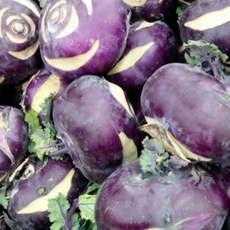 [제주직송] 당일수확 제주 콜라비 고당도 콜라비, 1개, 10kg