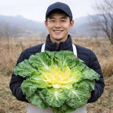 [7일초특가판매] 국내산 제철 봄동 배추, 1박스, 1kg