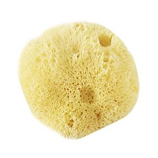 뷰티풀스킨 아기 목욕용 해면 미디엄, 1개