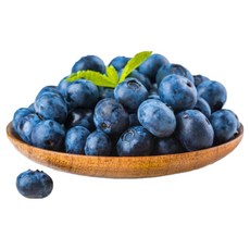 냉동 블루베리 칠레산, 5개, 1kg
