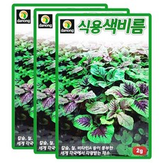 산들마켓 식용색비름 씨앗 2g 비름씨 쌈채 종자 3개+랜덤씨앗1개 증정, 1개