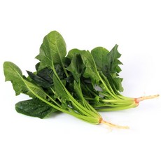 금메달농수산 남해 해풍 시금치, 1개, 1kg
