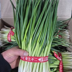 [ 정담상회 ] 국내산 깐쪽파 1kg(1단) 2kg(2단) 3kg(3단) 내외, 1박스, 1kg