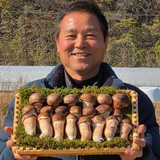 다울농장 국내산 천안 참송이버섯 광덕 산지직송, 1개, 하급 1kg