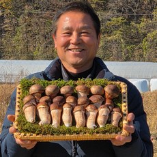 다울농장 국내산 천안 참송이버섯 광덕 산지직송, 1개, 중급 1kg
