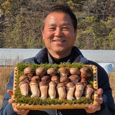 다울농장 국내산 천안 참송이버섯 광덕 산지직송, 1개, 선물세트 1kg