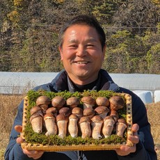다울농장 국내산 천안 참송이버섯 광덕 산지직송, 1개, 미니 1kg