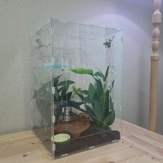 렙티언즈 개구리 사육장 아크릴 케이지 303045cm, 1개