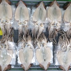 품절임박 촉촉한 포항산 반건조오징어 특품, 1개, 5미 350g