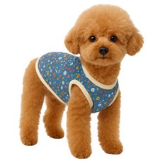 비쥬마켓 강아지 할머니조끼 강아지겨울옷 누빔조끼 핫한김장조끼, 블루_멍멍, 1개