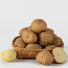[초록이네] 햇감자 포슬포슬 국내산 수미감자, 1개, 10kg(대)