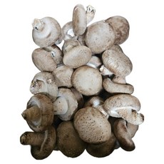 [서산여미표고]GAP인증 생표고버섯 가정용 상품, 1박스, 1KG(상품)