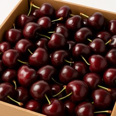 더달달 칠레산 체리 대과, 1박스, 1KG