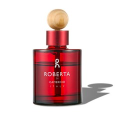 신제품 로베르타 차량용디퓨저 방향제120m, 120ml, 1개, 레드피오레