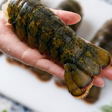 랍스터 테일 1마리 110g~150g (4oz) 냉동 랍스타 꼬리 바닷가재 꼬리, 랍스터테일