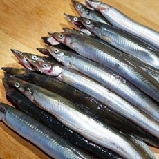 [선주직송] 갓잡아 알이 꽉꽉찬 제철 양미리 급냉, 1개, 1kg