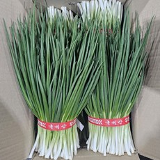 클릭마켓 노지 깐쪽파 1단 실파 잔파, 1개, 1kg